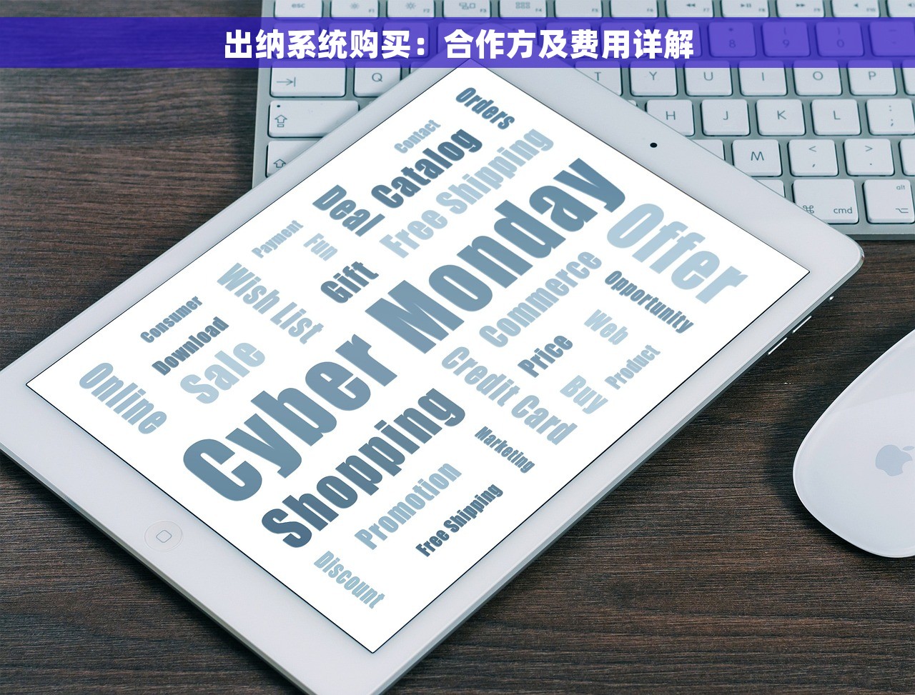 出纳系统购买：合作方及费用详解