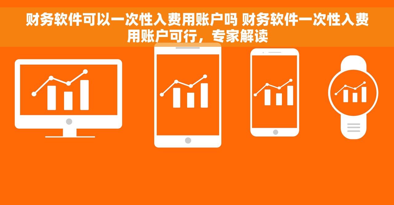 财务软件可以一次性入费用账户吗 财务软件一次性入费用账户可行，专家解读