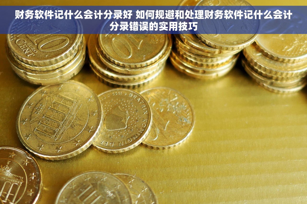 财务软件记什么会计分录好 如何规避和处理财务软件记什么会计分录错误的实用技巧