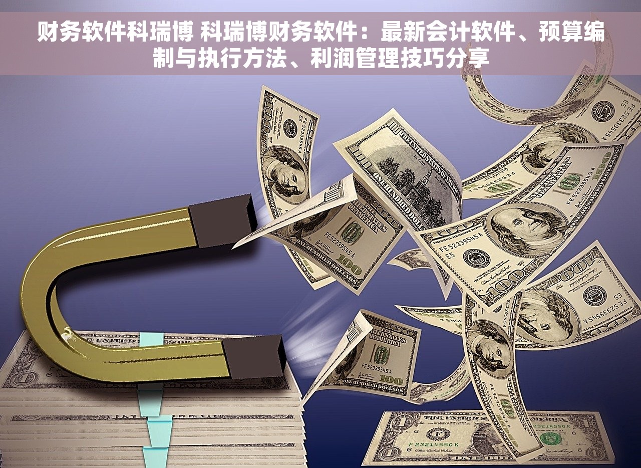 财务软件科瑞博 科瑞博财务软件：最新会计软件、预算编制与执行方法、利润管理技巧分享