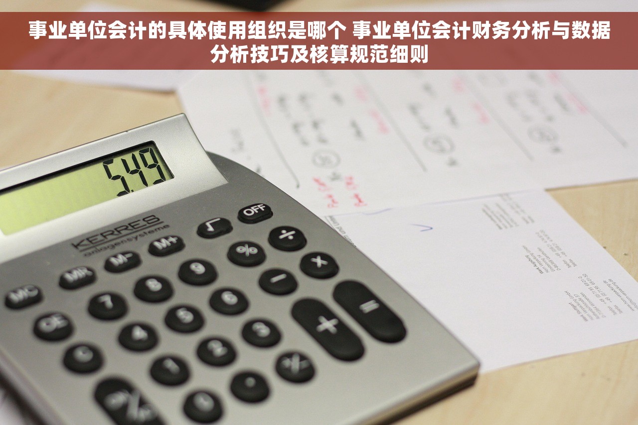 事业单位会计的具体使用组织是哪个 事业单位会计财务分析与数据分析技巧及核算规范细则