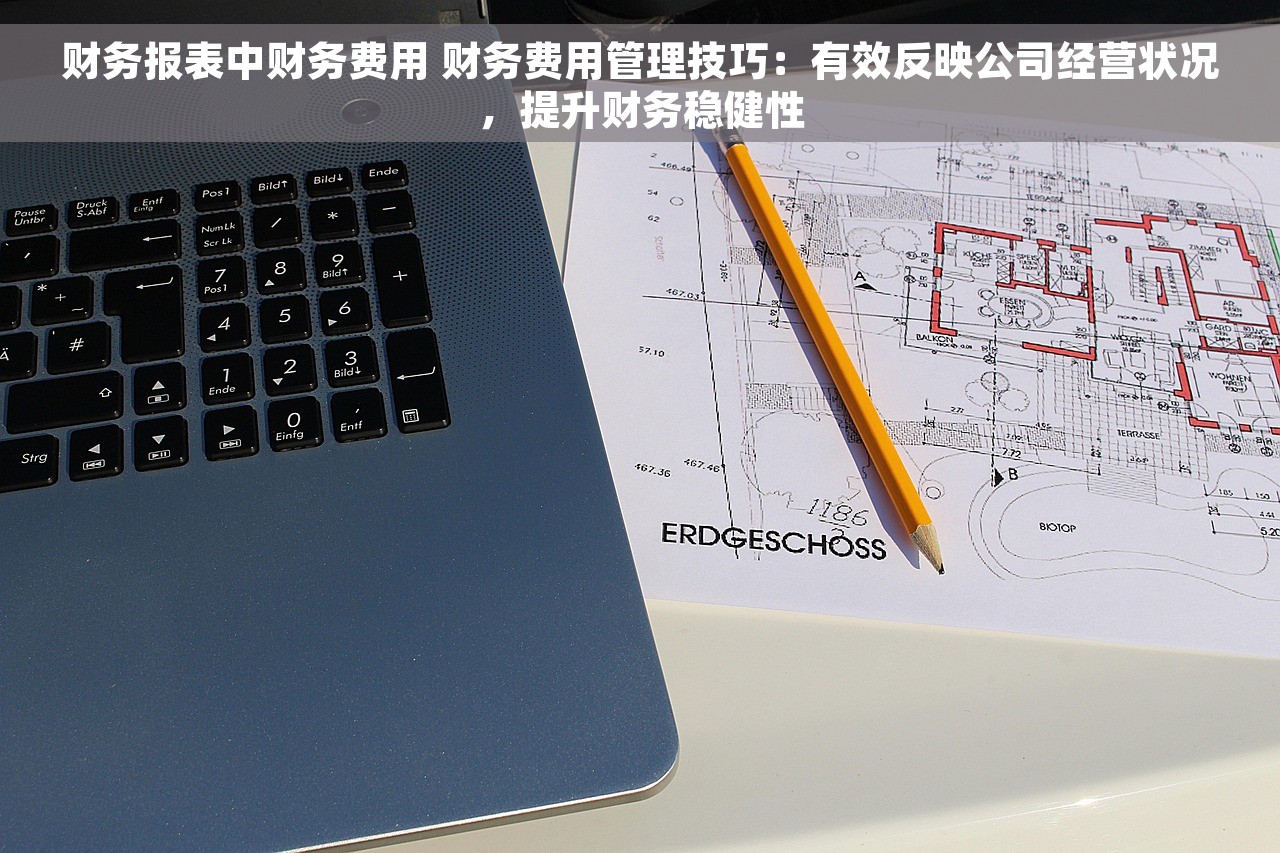 财务报表中财务费用 财务费用管理技巧：有效反映公司经营状况，提升财务稳健性