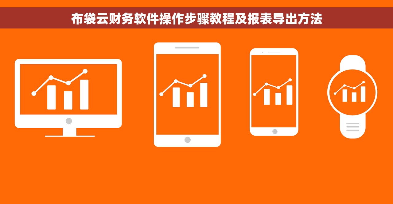 布袋云财务软件操作步骤教程及报表导出方法