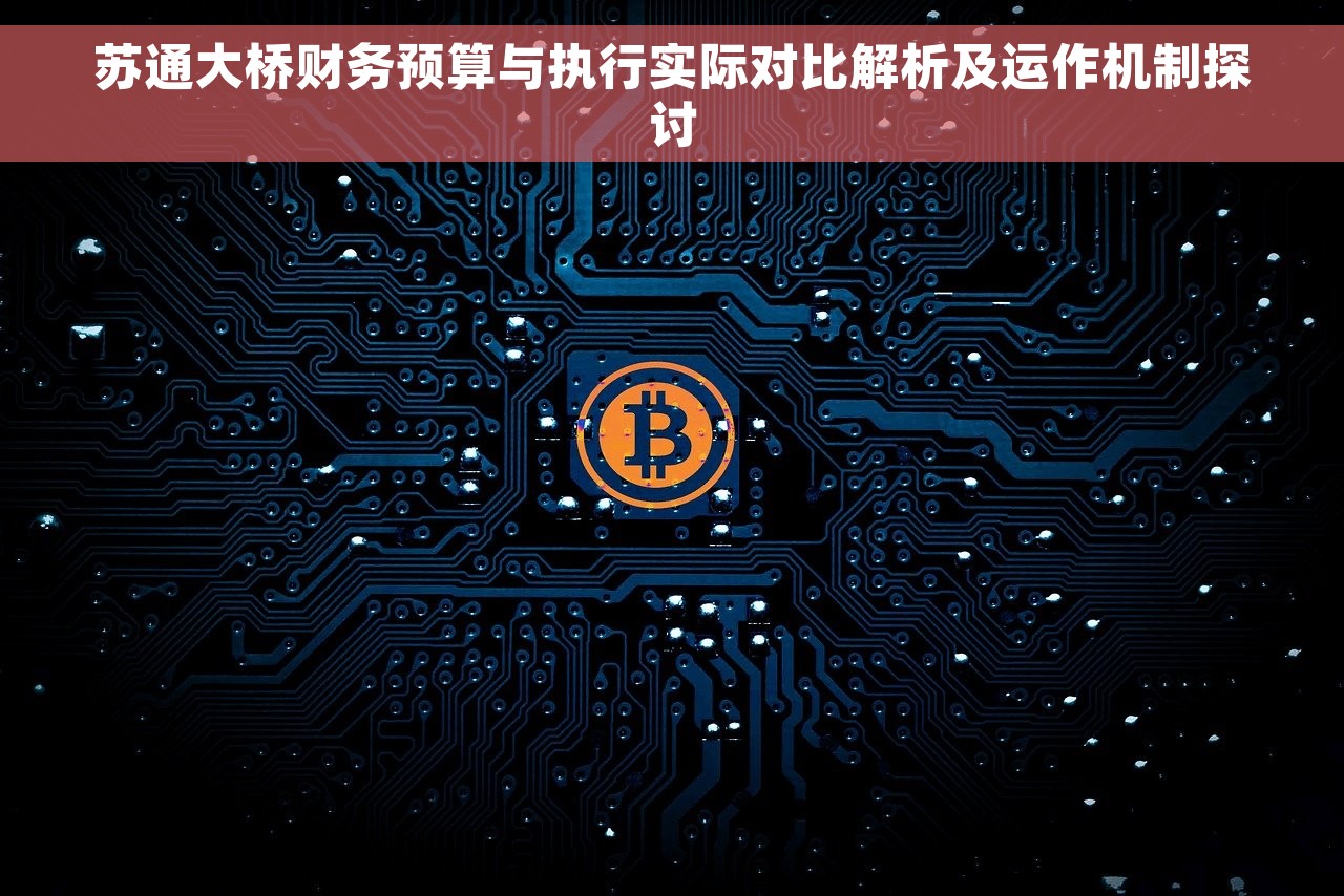 苏通大桥财务预算与执行实际对比解析及运作机制探讨