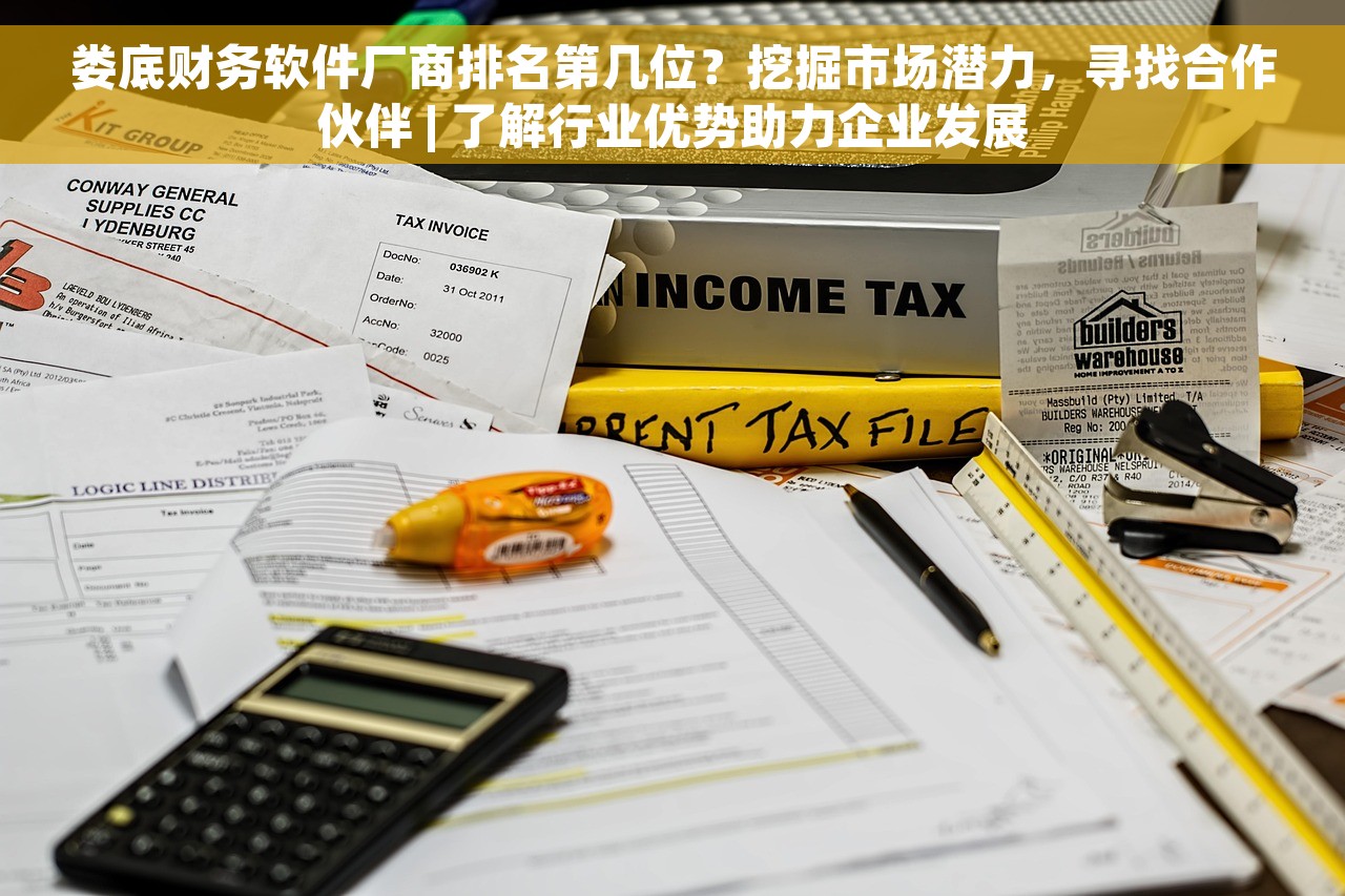 娄底财务软件厂商排名第几位？挖掘市场潜力，寻找合作伙伴 | 了解行业优势助力企业发展