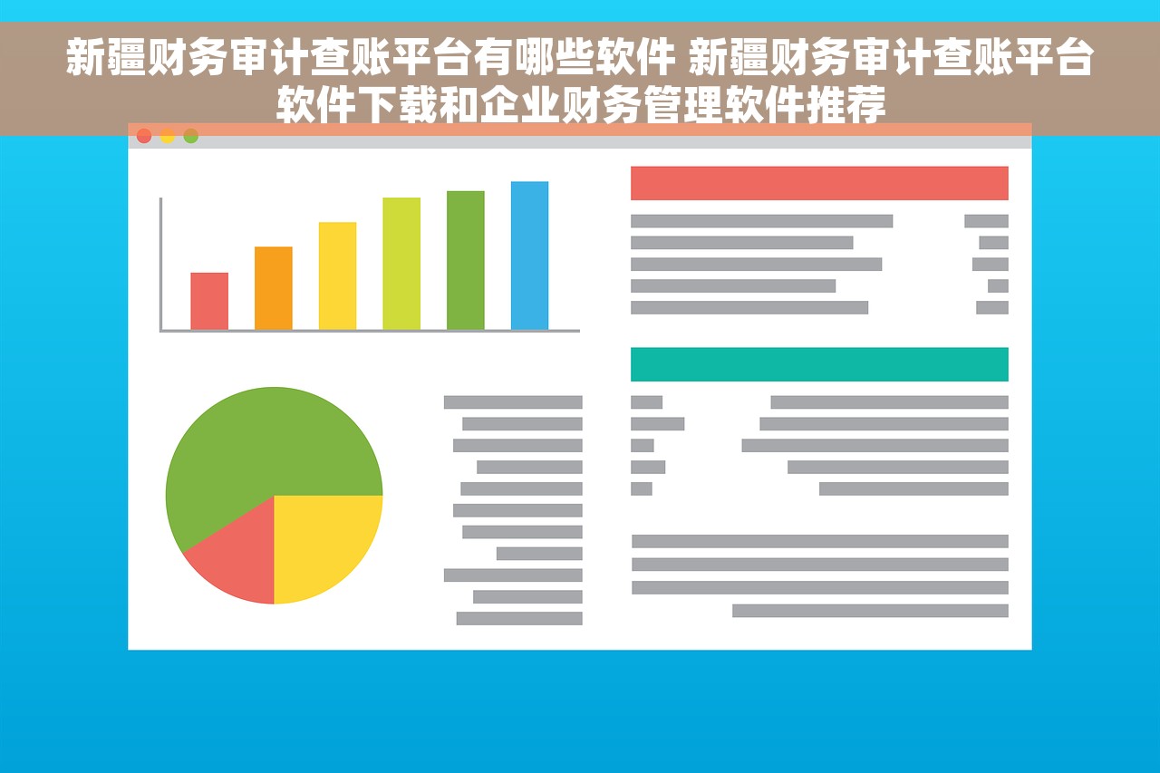 新疆财务审计查账平台有哪些软件 新疆财务审计查账平台软件下载和企业财务管理软件推荐