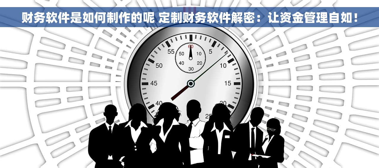 财务软件是如何制作的呢 定制财务软件解密：让资金管理自如！
