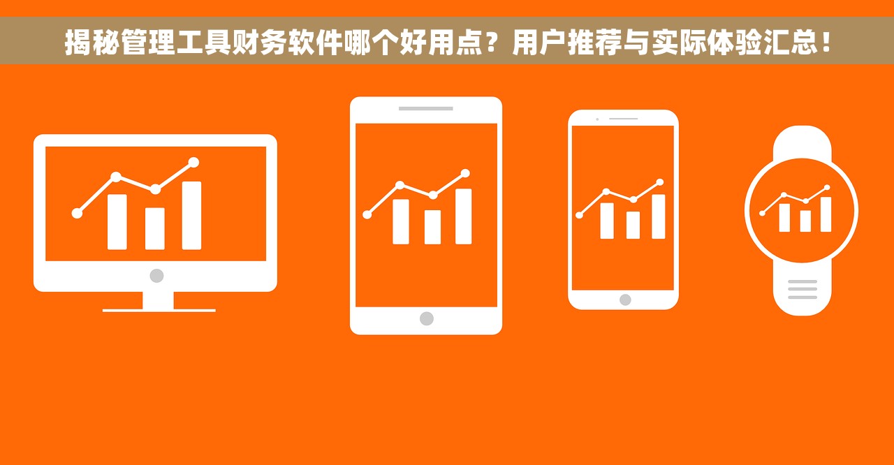 揭秘管理工具财务软件哪个好用点？用户推荐与实际体验汇总！