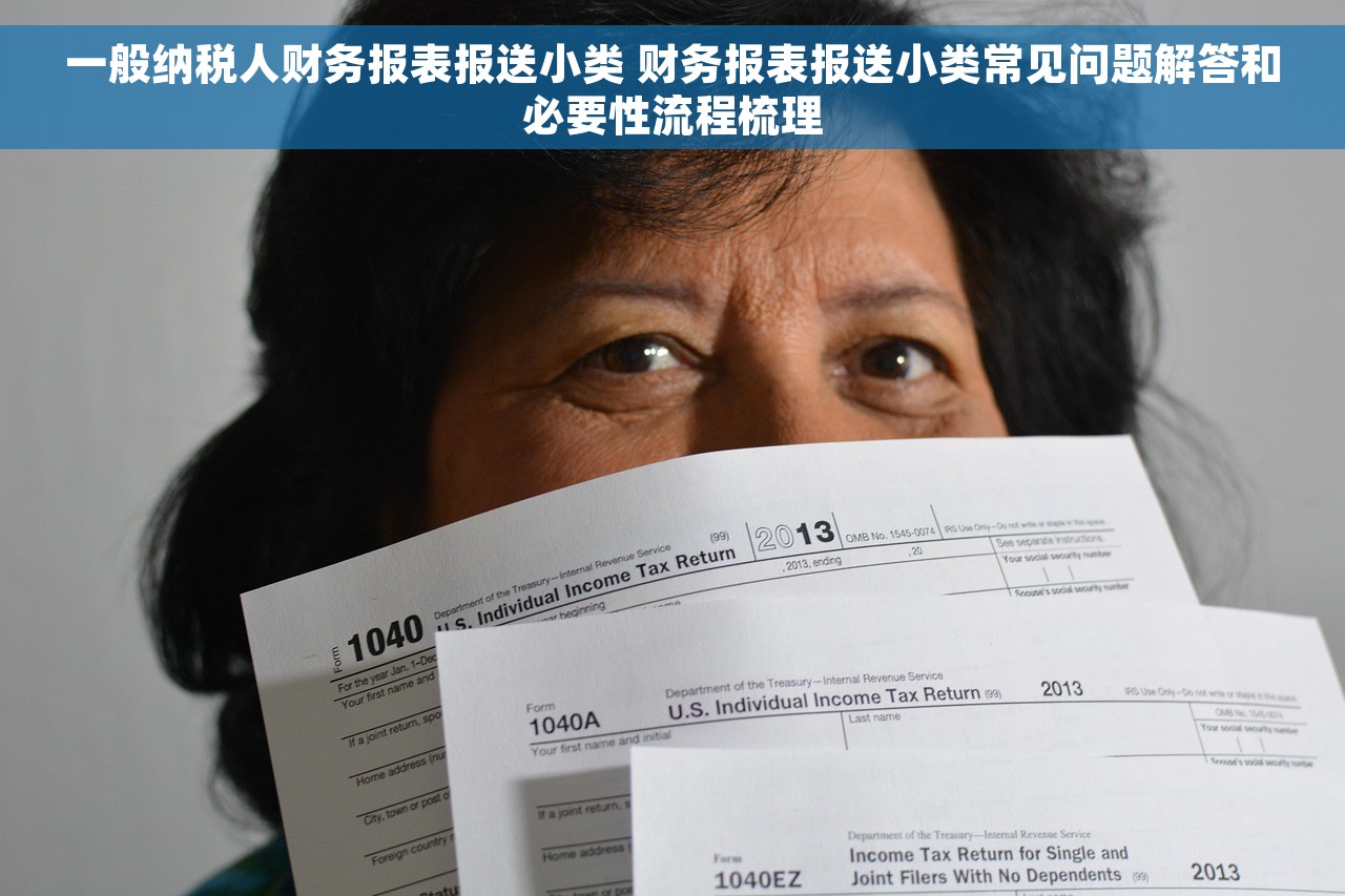 一般纳税人财务报表报送小类 财务报表报送小类常见问题解答和必要性流程梳理