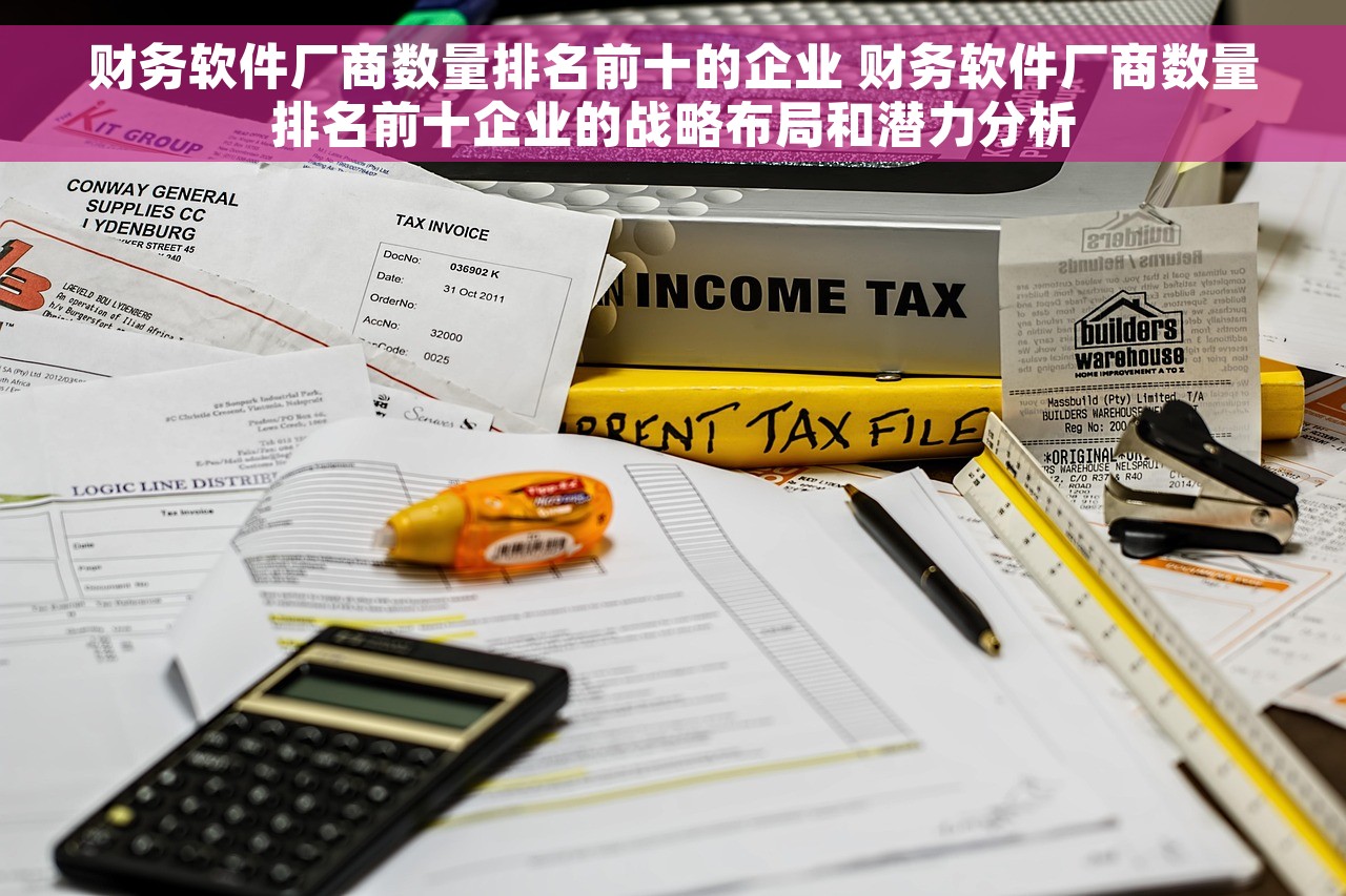 财务软件厂商数量排名前十的企业 财务软件厂商数量排名前十企业的战略布局和潜力分析