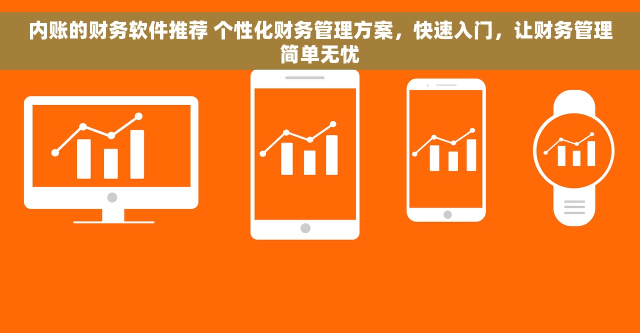 内账的财务软件推荐 个性化财务管理方案，快速入门，让财务管理简单无忧