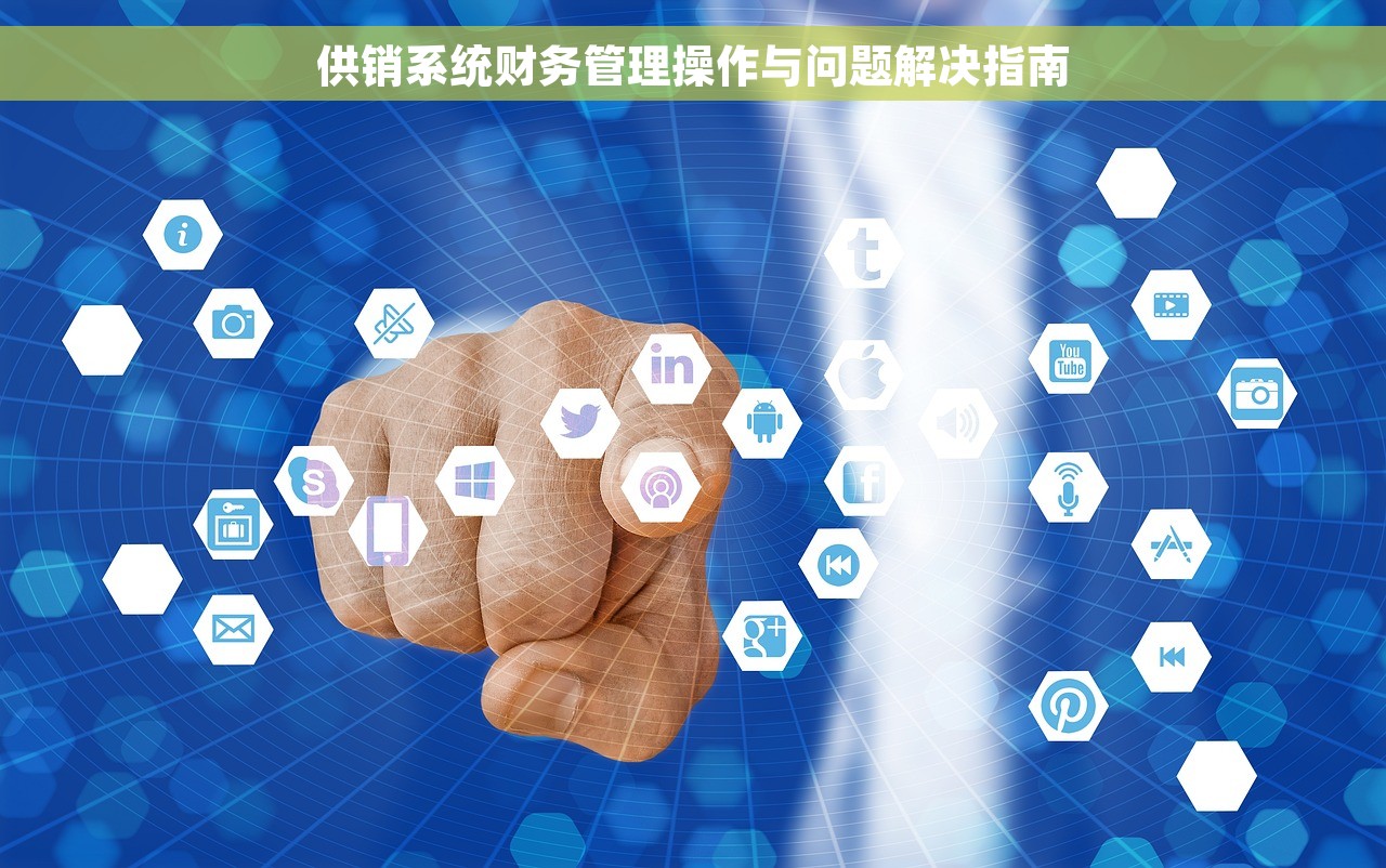 供销系统财务管理操作与问题解决指南