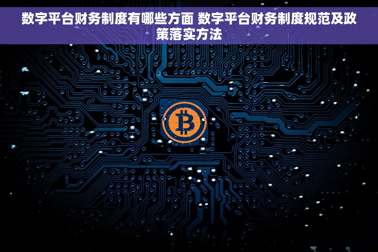 数字平台财务制度有哪些方面 数字平台财务制度规范及政策落实方法