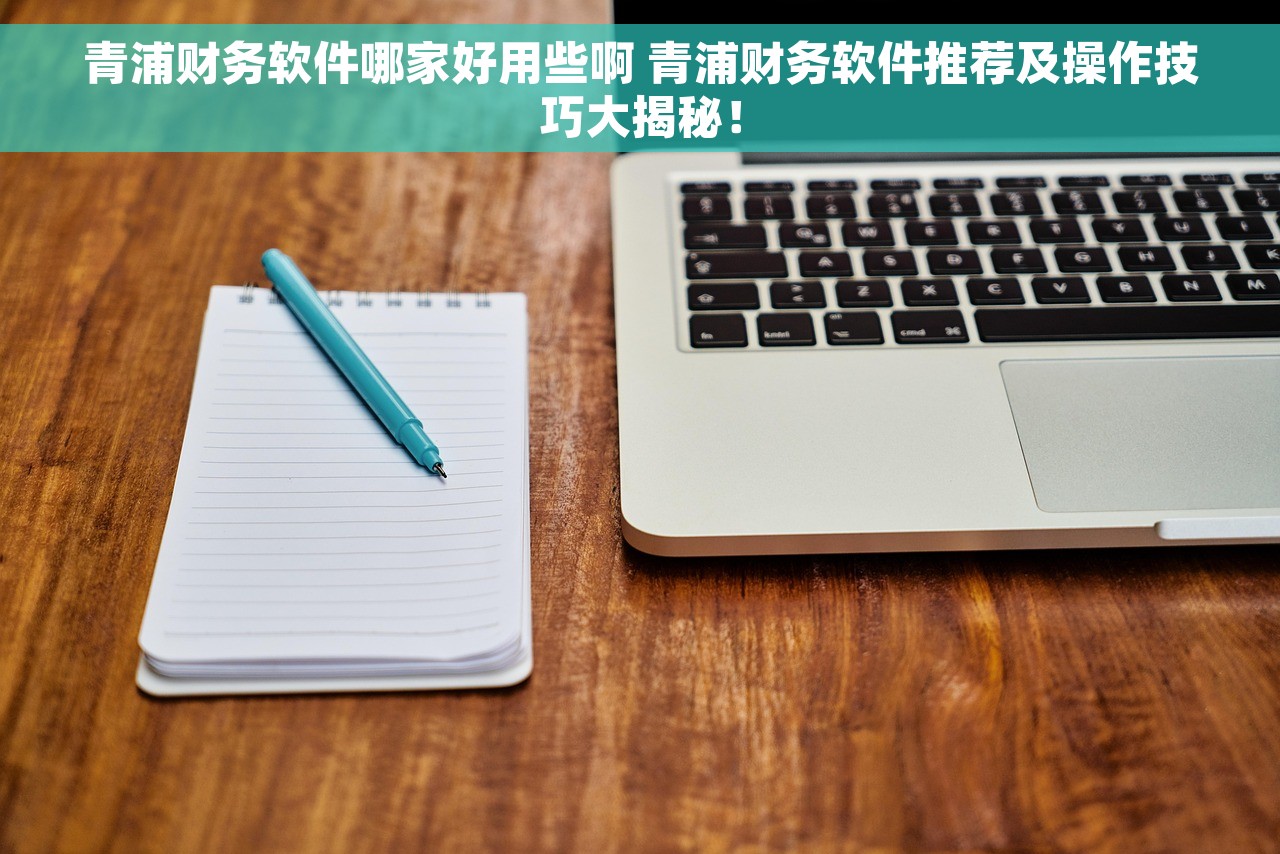 青浦财务软件哪家好用些啊 青浦财务软件推荐及操作技巧大揭秘！