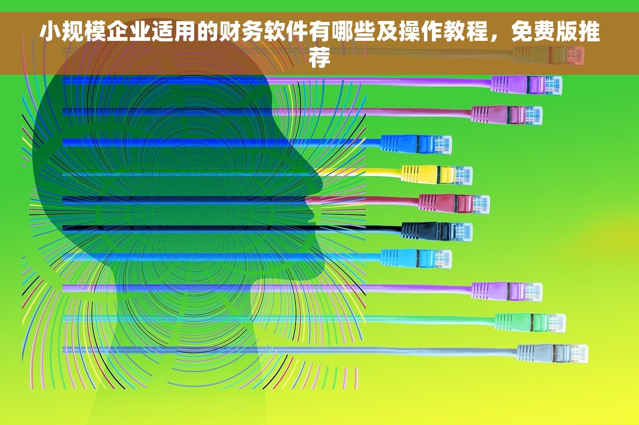 小规模企业适用的财务软件有哪些及操作教程，免费版推荐