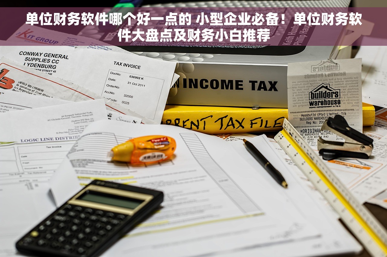 单位财务软件哪个好一点的 小型企业必备！单位财务软件大盘点及财务小白推荐