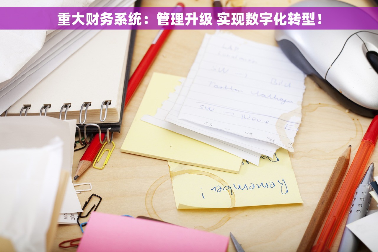 重大财务系统：管理升级 实现数字化转型！
