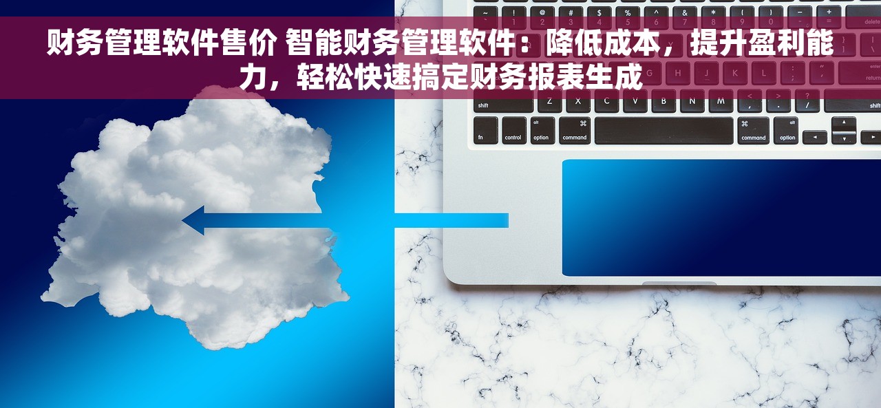 财务管理软件售价 智能财务管理软件：降低成本，提升盈利能力，轻松快速搞定财务报表生成