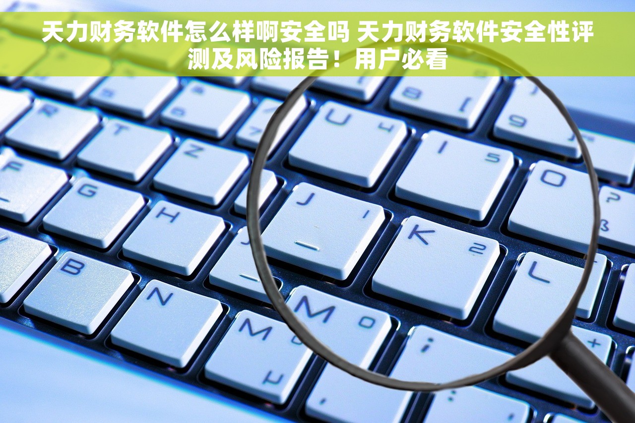 天力财务软件怎么样啊安全吗 天力财务软件安全性评测及风险报告！用户必看