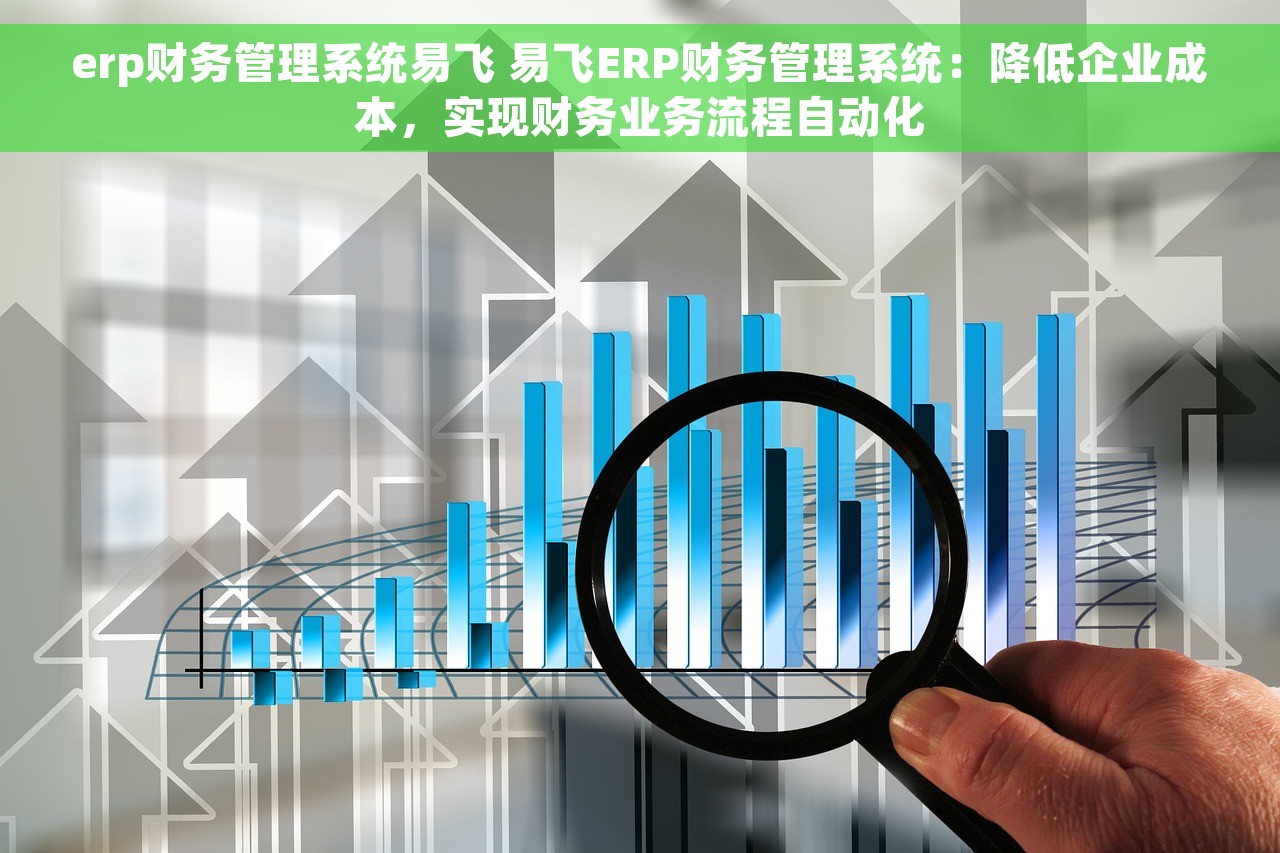 erp财务管理系统易飞 易飞ERP财务管理系统：降低企业成本，实现财务业务流程自动化