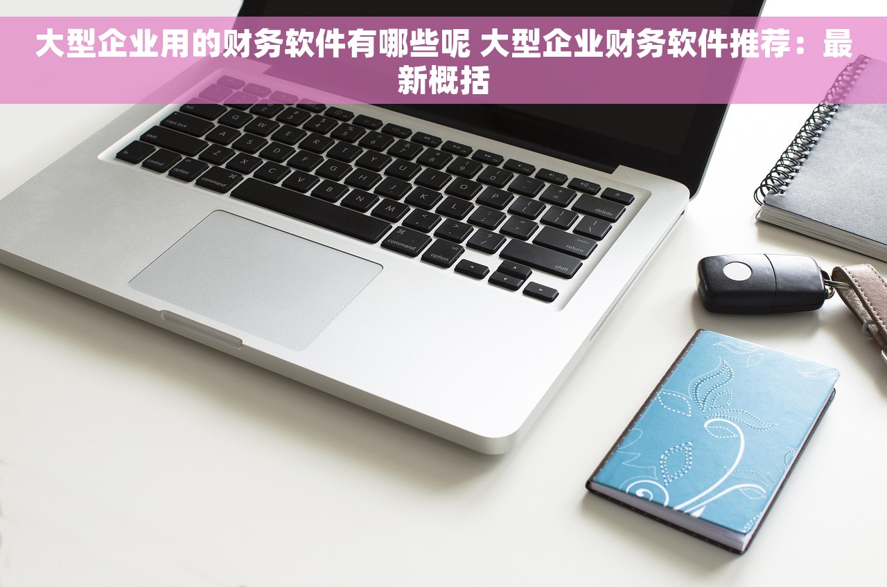 大型企业用的财务软件有哪些呢 大型企业财务软件推荐：最新概括