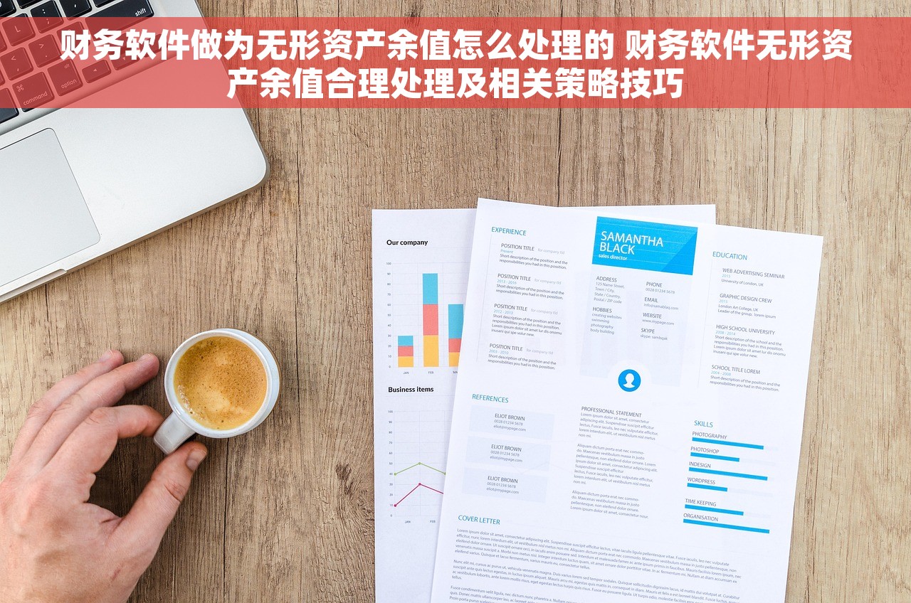 财务软件做为无形资产余值怎么处理的 财务软件无形资产余值合理处理及相关策略技巧