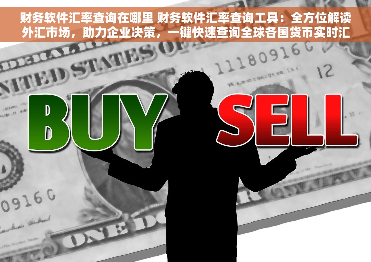 财务软件汇率查询在哪里 财务软件汇率查询工具：全方位解读外汇市场，助力企业决策，一键快速查询全球各国货币实时汇率