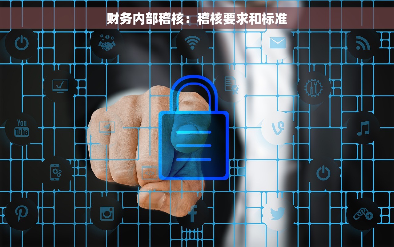 财务内部稽核：稽核要求和标准