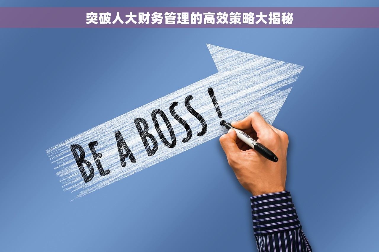 突破人大财务管理的高效策略大揭秘