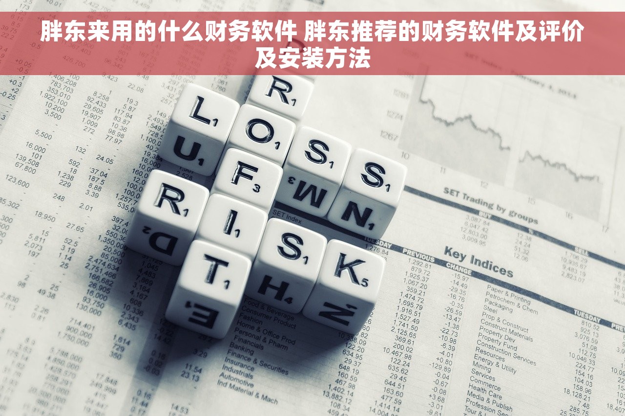 胖东来用的什么财务软件 胖东推荐的财务软件及评价及安装方法