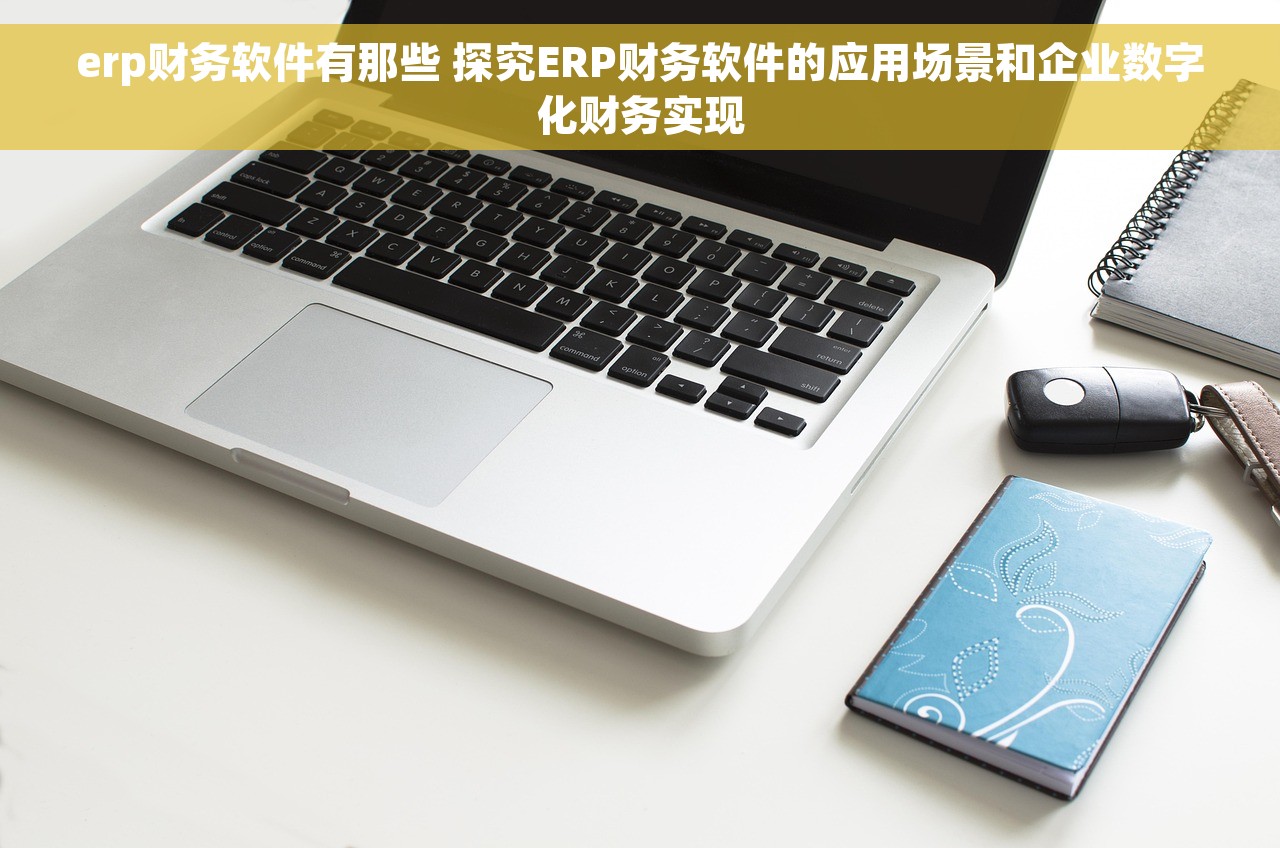 erp财务软件有那些 探究ERP财务软件的应用场景和企业数字化财务实现
