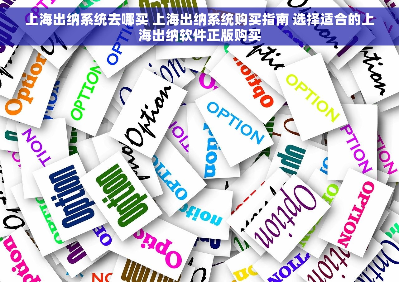 上海出纳系统去哪买 上海出纳系统购买指南 选择适合的上海出纳软件正版购买