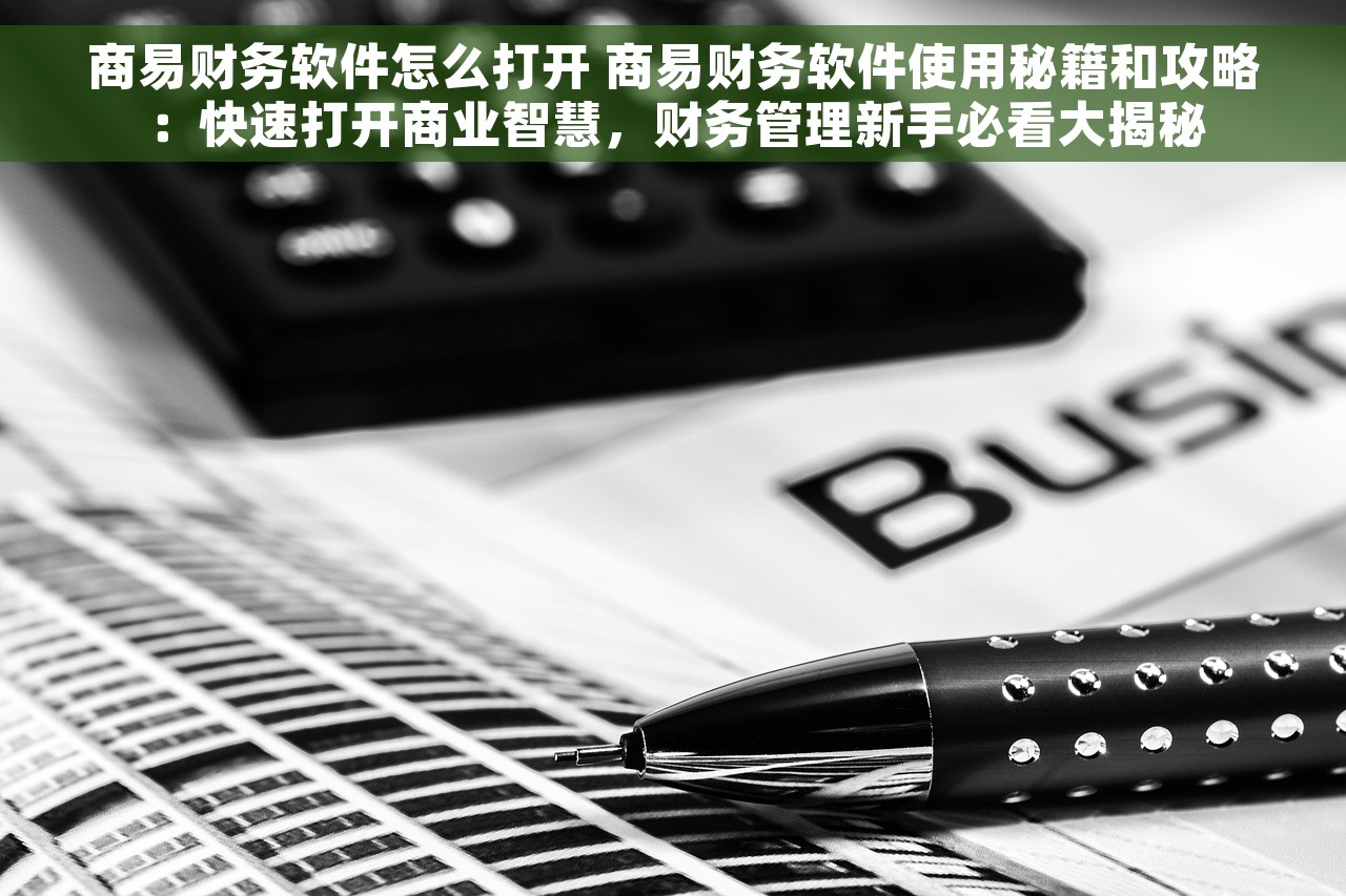 商易财务软件怎么打开 商易财务软件使用秘籍和攻略：快速打开商业智慧，财务管理新手必看大揭秘
