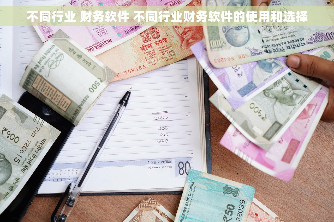不同行业 财务软件 不同行业财务软件的使用和选择