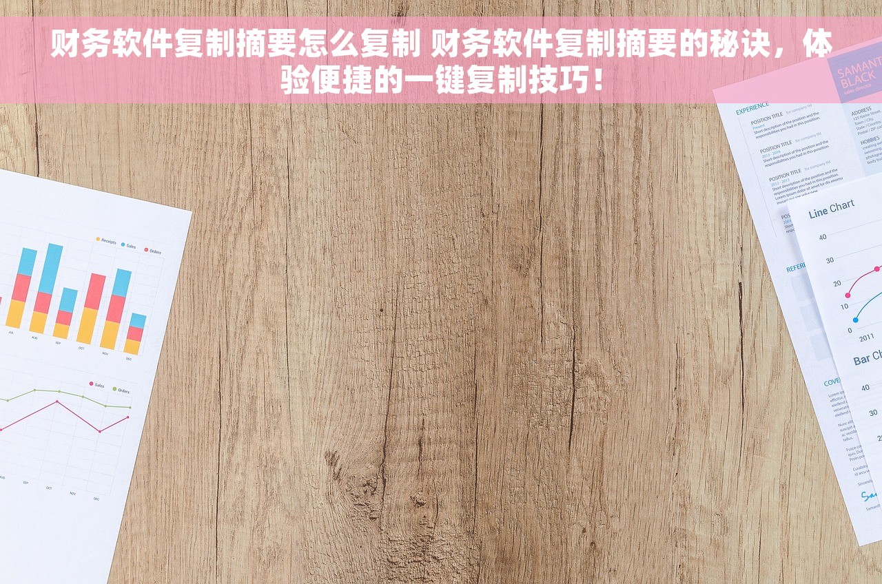 财务软件复制摘要怎么复制 财务软件复制摘要的秘诀，体验便捷的一键复制技巧！