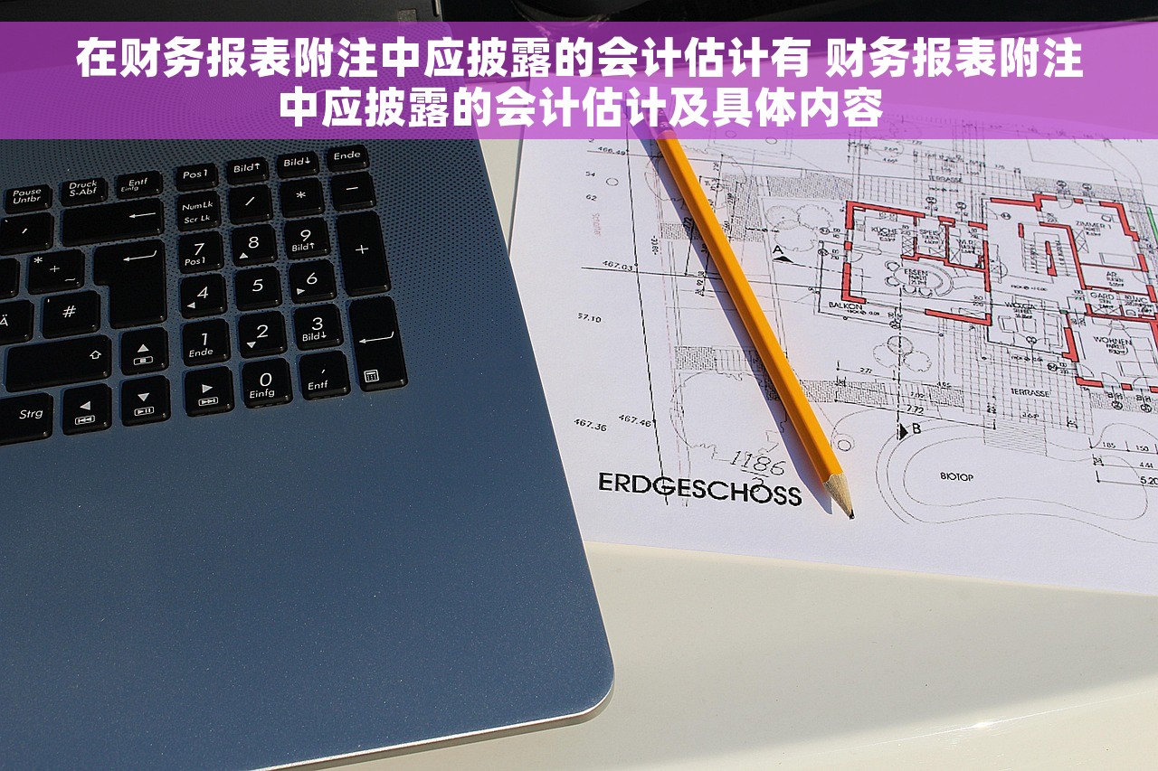 在财务报表附注中应披露的会计估计有 财务报表附注中应披露的会计估计及具体内容