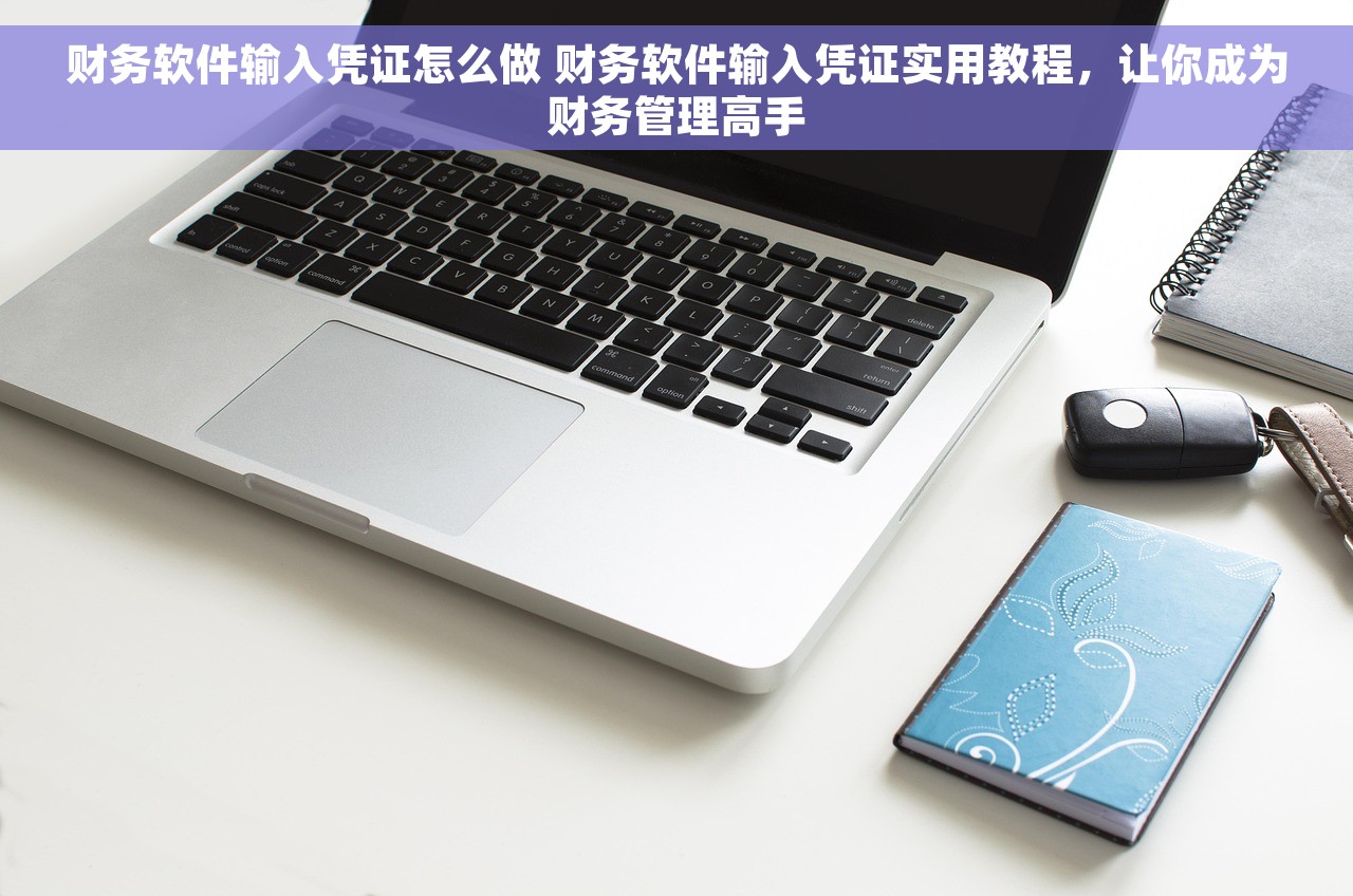 财务软件输入凭证怎么做 财务软件输入凭证实用教程，让你成为财务管理高手