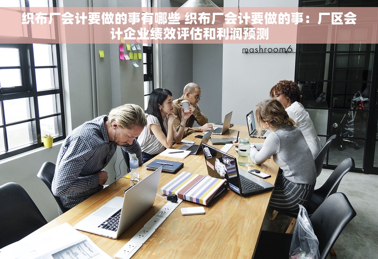 织布厂会计要做的事有哪些 织布厂会计要做的事：厂区会计企业绩效评估和利润预测