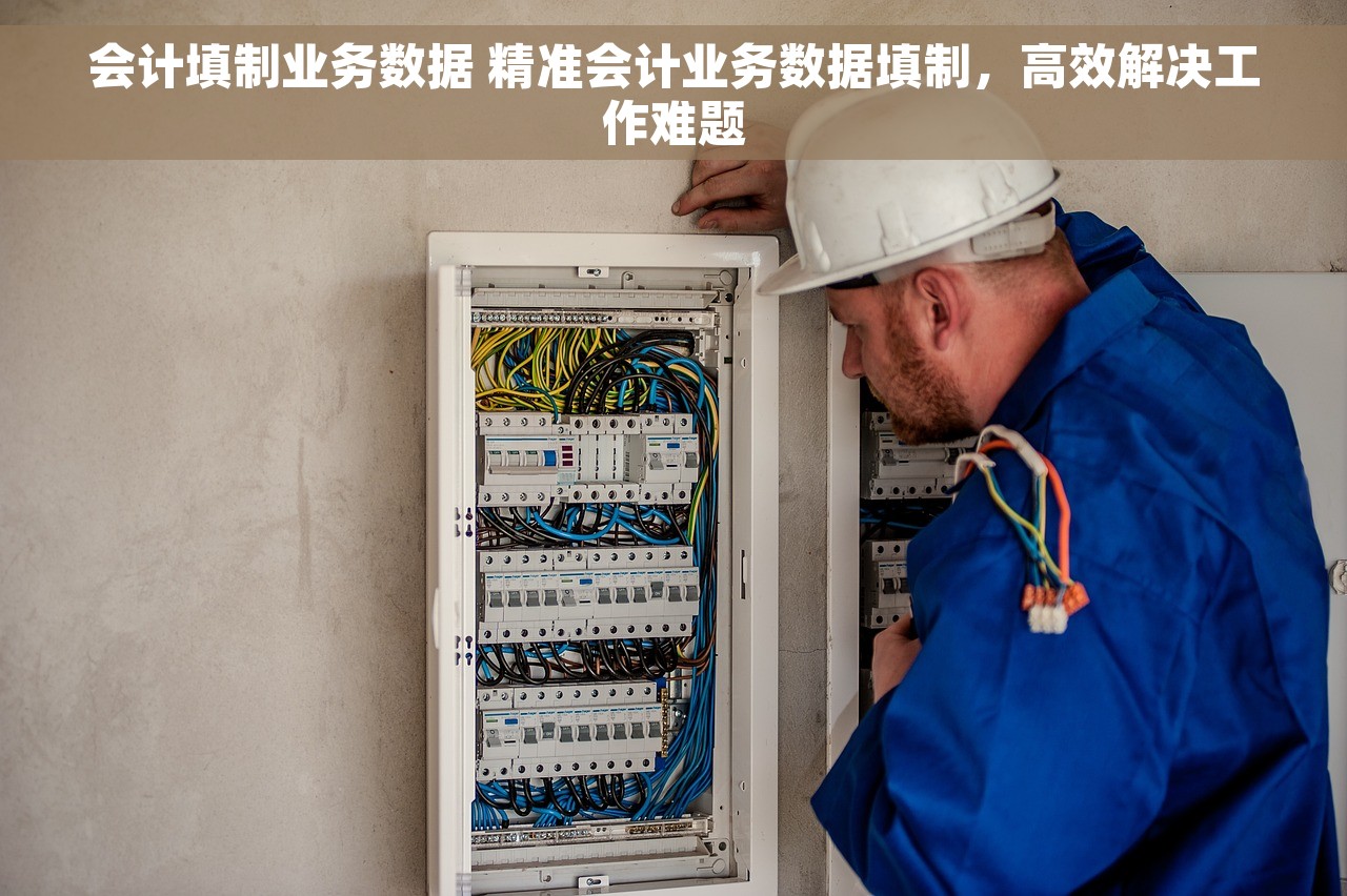 会计填制业务数据 精准会计业务数据填制，高效解决工作难题