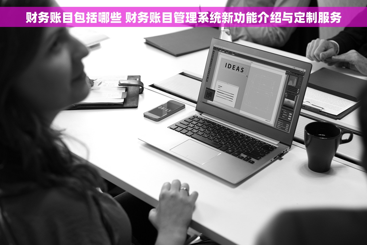 财务账目包括哪些 财务账目管理系统新功能介绍与定制服务
