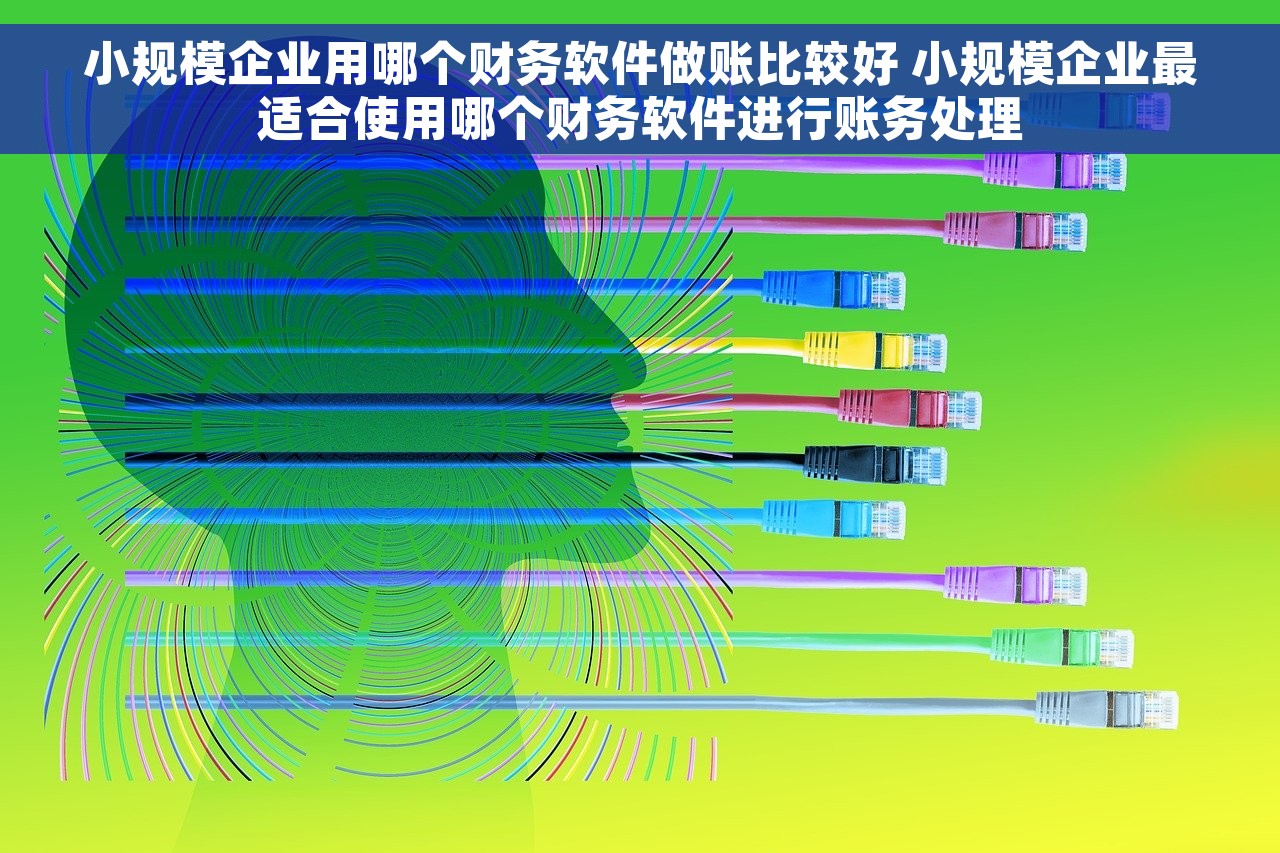 小规模企业用哪个财务软件做账比较好 小规模企业最适合使用哪个财务软件进行账务处理