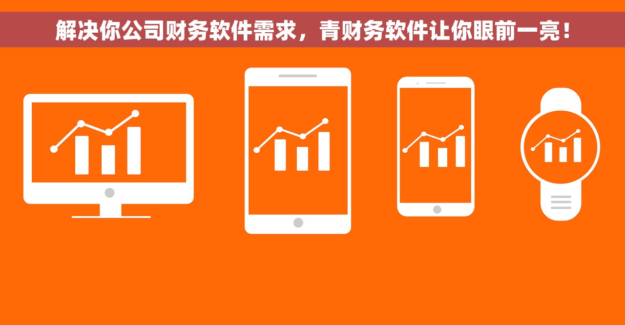 解决你公司财务软件需求，青财务软件让你眼前一亮！
