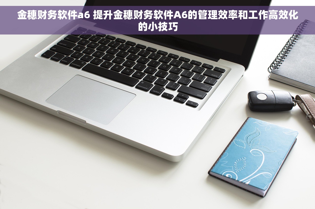 金穗财务软件a6 提升金穗财务软件A6的管理效率和工作高效化的小技巧