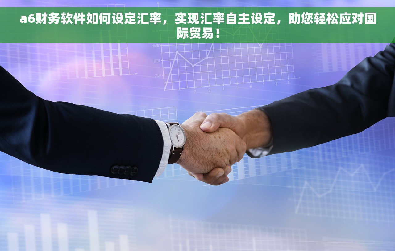 a6财务软件如何设定汇率，实现汇率自主设定，助您轻松应对国际贸易！