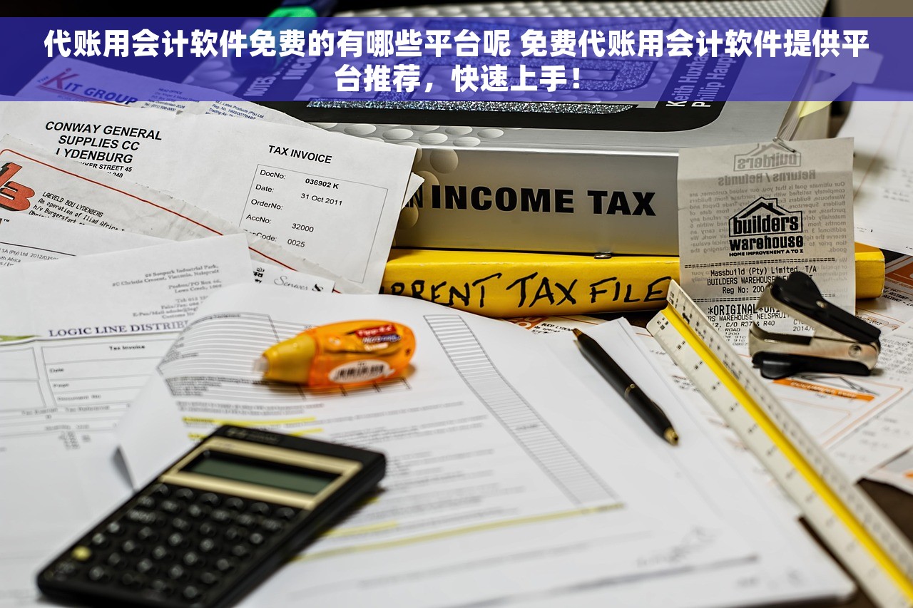 代账用会计软件免费的有哪些平台呢 免费代账用会计软件提供平台推荐，快速上手！