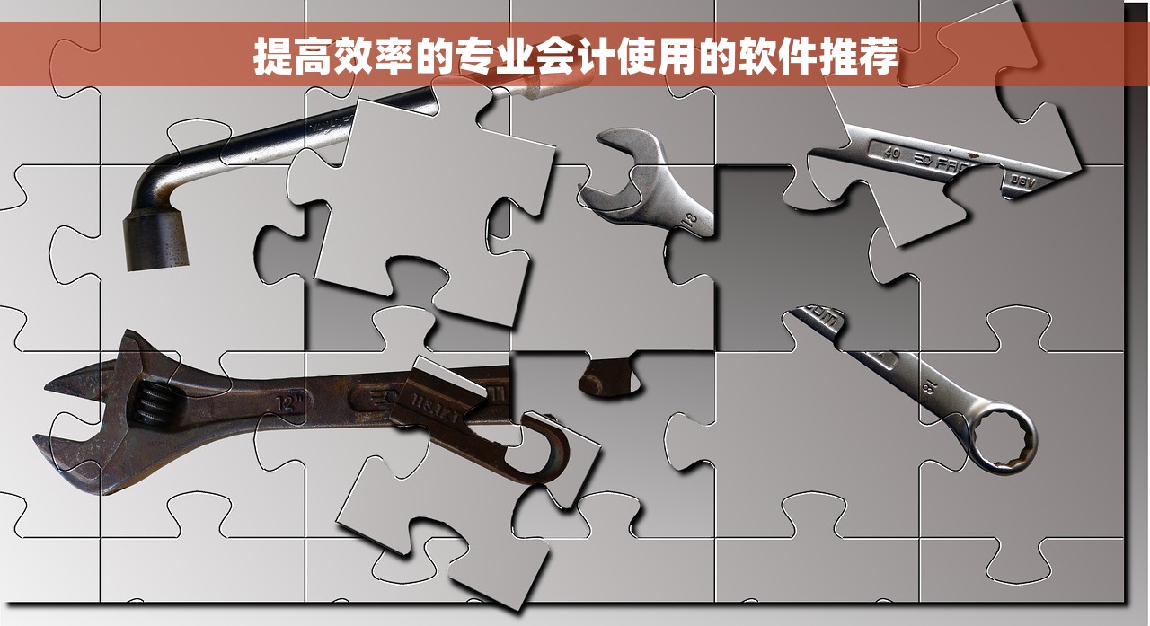 提高效率的专业会计使用的软件推荐