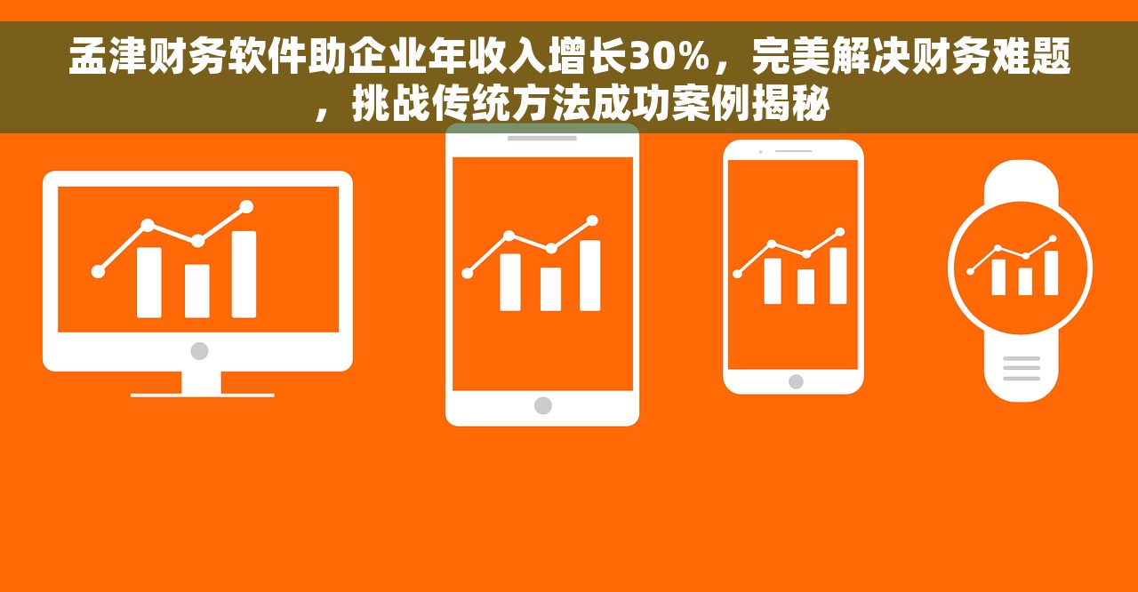 孟津财务软件助企业年收入增长30%，完美解决财务难题，挑战传统方法成功案例揭秘
