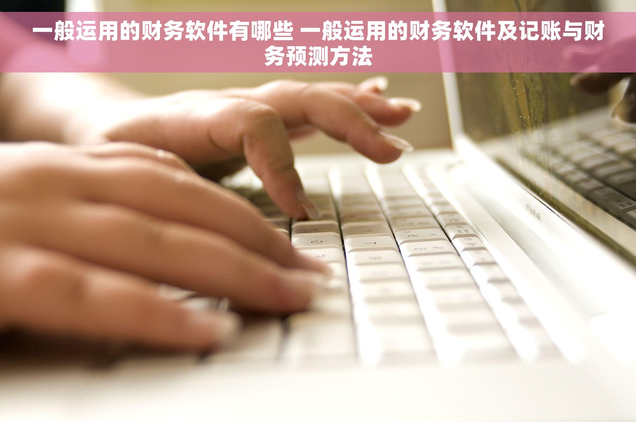 一般运用的财务软件有哪些 一般运用的财务软件及记账与财务预测方法