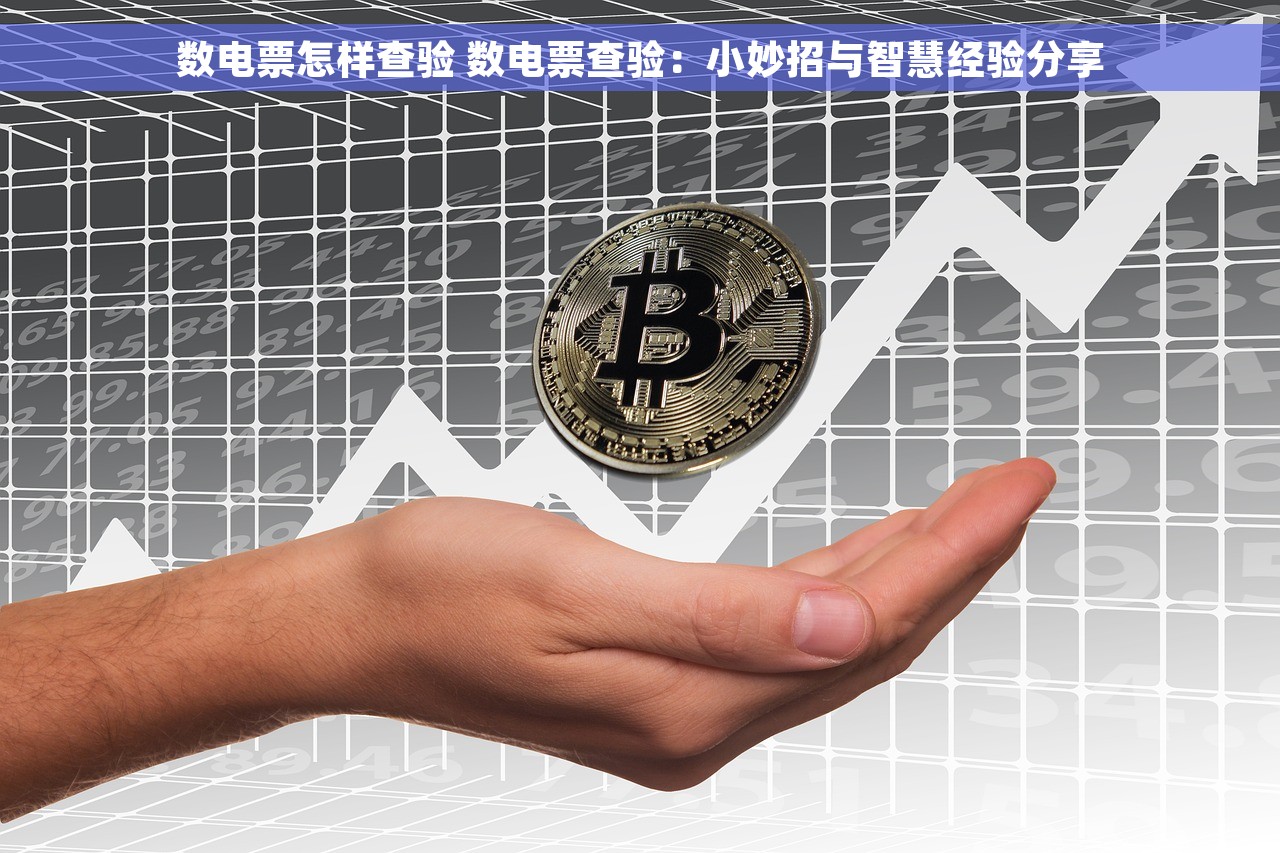 数电票怎样查验 数电票查验：小妙招与智慧经验分享