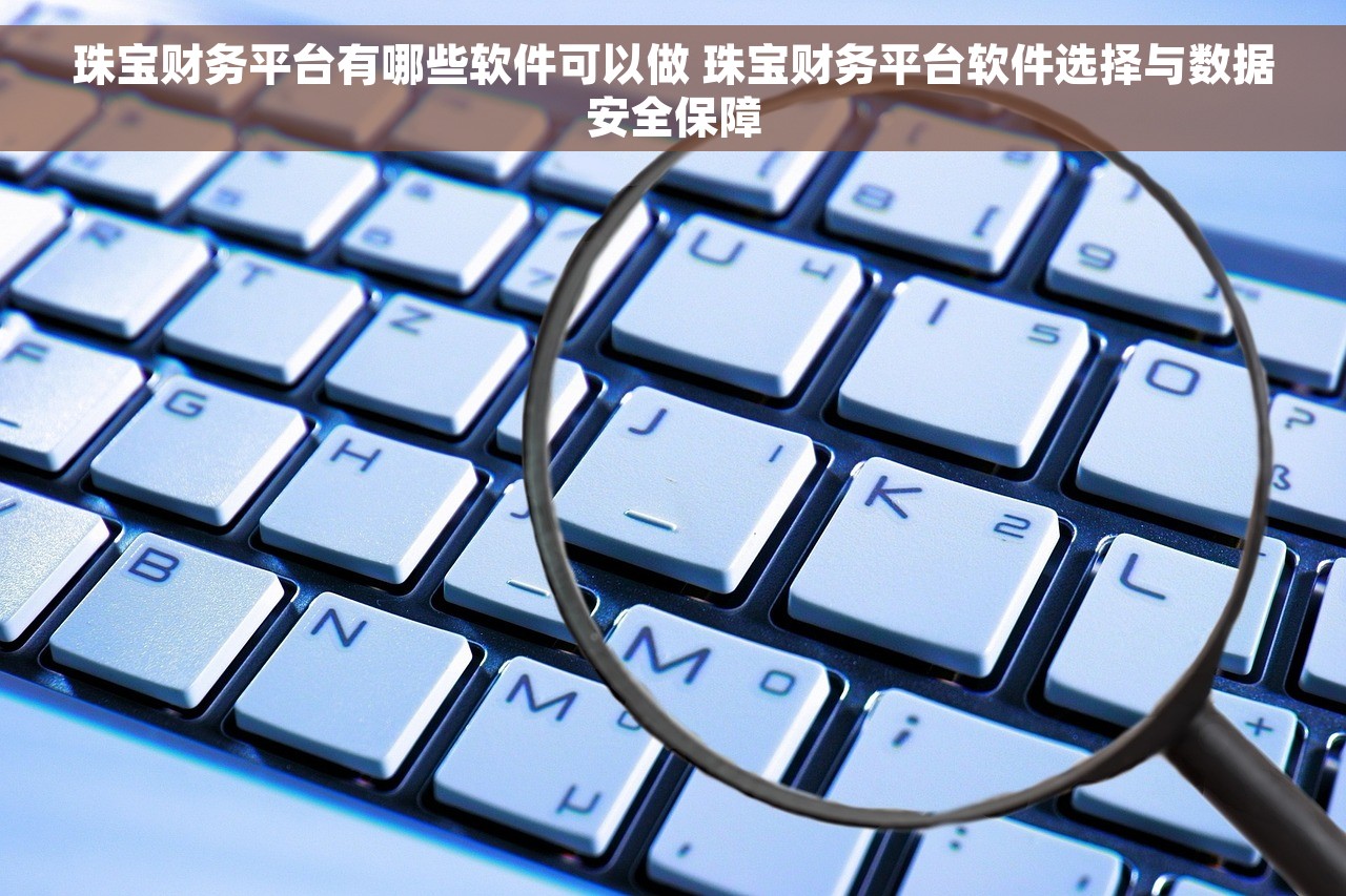 珠宝财务平台有哪些软件可以做 珠宝财务平台软件选择与数据安全保障